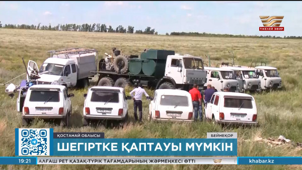 Қостанай облысында 776 мың гектар алқапты үйірлі шегіртке жаулауы мүмкін