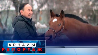 Жылқы жолда қалдырмас | Арнайы репортаж