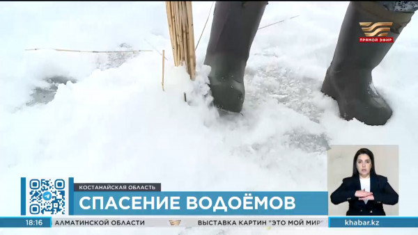 Волонтеры и экологи Костанайской области спасают водоемы от замора рыбы