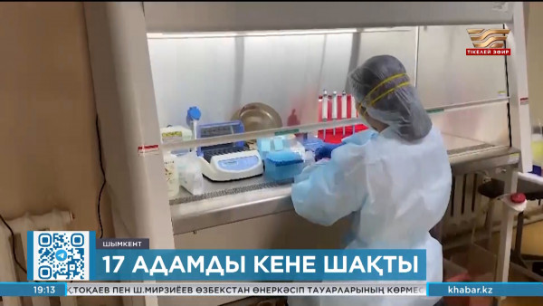 Шымкентте кене шаққан 17 адам медициналық көмекке жүгінді