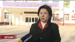 «Негізінде...». Конституцияналдық реформа
