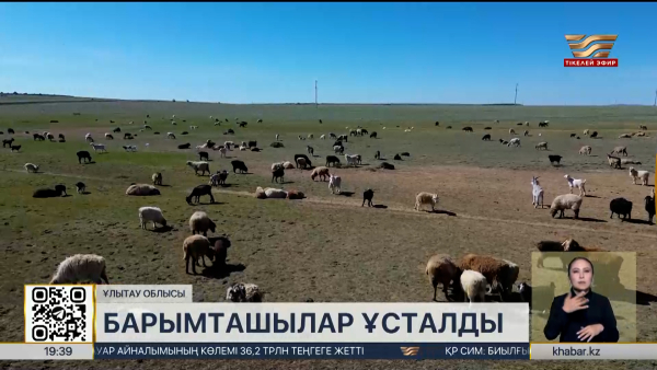 Ұлытау облысында мал ұрлаған ұйымдасқан топ құрықталды
