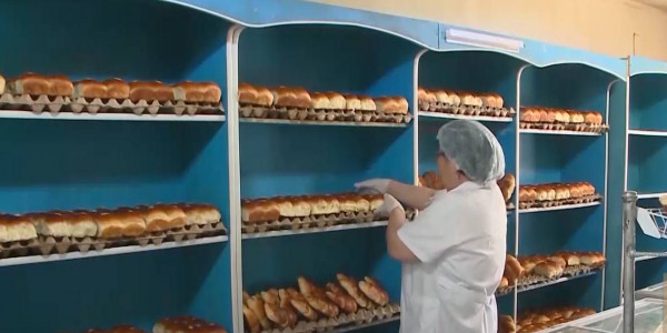 Программа &laquo;Ауыл аманаты&raquo; помогает развитию сельского хозяйства