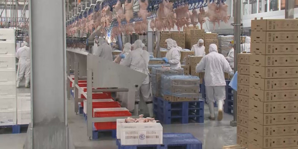 Елімізде ет қымбаттауы мүмкін