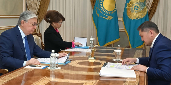 Президент Ғылым және жоғары білім министрін қабылдады