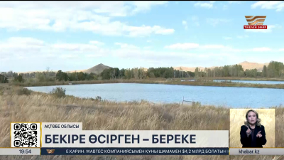 Ақтөбелік зейнеткер балық шаруашылығын дамытып отыр