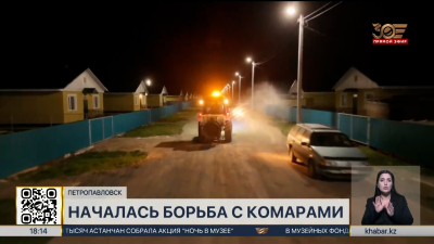На борьбу с комарами в Петропавловске выделили 20 млн тенге