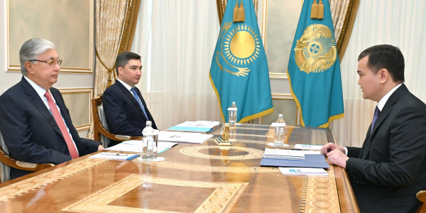 Президент принял акима Астаны Жениса Касымбека