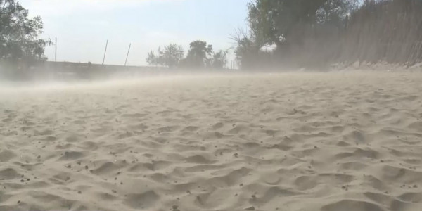 Жамбыл облысындағы ауылдарға көшкен құм қауіп төндіріп тұр