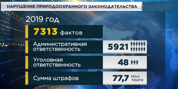 Инспекторы &laquo;Охотзоопрома&raquo; помогли браконьерам уничтожить 154 головы сайги