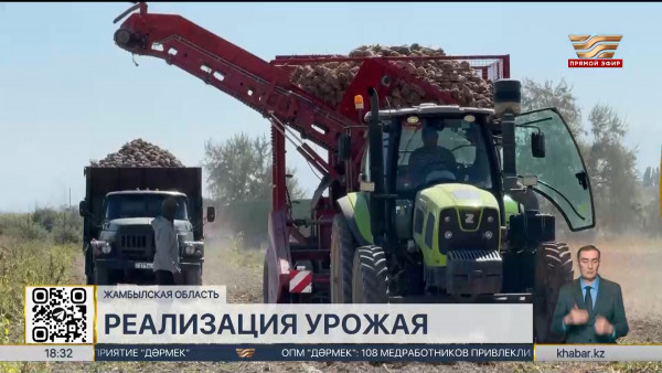 Казахстанские аграрии испытывают проблемы со сбытом урожая