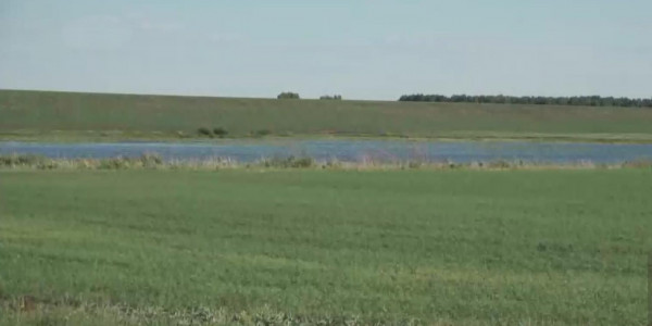 Около 300 жителей лишились земельных долей в СКО