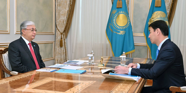 Глава государства принял акима Туркестанской области Дархана Сатыбалды
