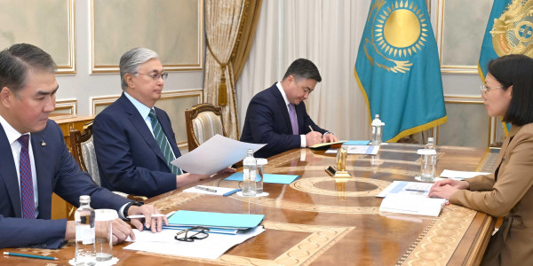 Мемлекет басшысы Экология және табиғи ресурстар министрін қабылдады