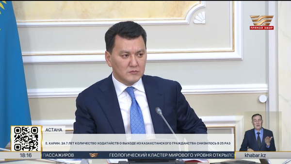 Е. Карин: За 7 лет количество ходатайств о выходе из казахстанского гражданства снизилось в 25 раз