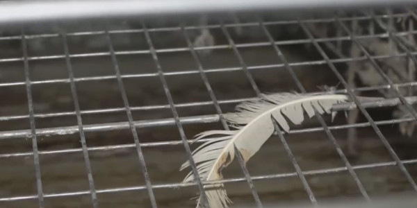 СҚО тұрғыны демеу қаржыға толық көлемде қол жеткізе алмай жүр