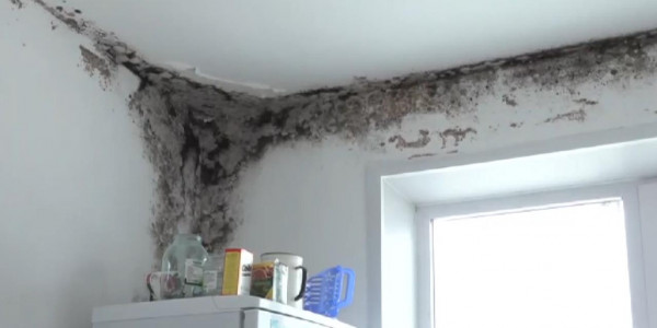 Ақсу қаласында көпқабатты үйлердегі пәтерлерді су басуда