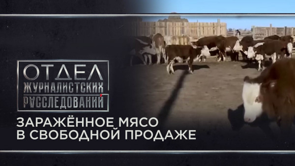 Заражённое мясо в свободной продаже. &laquo;Отдел журналистских расследований&raquo;
