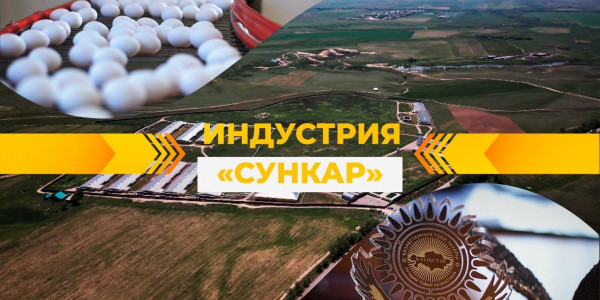 Птицефабрика &laquo;Сункар&raquo;. Продовольственная безопасность страны. &laquo;Индустрия&raquo;