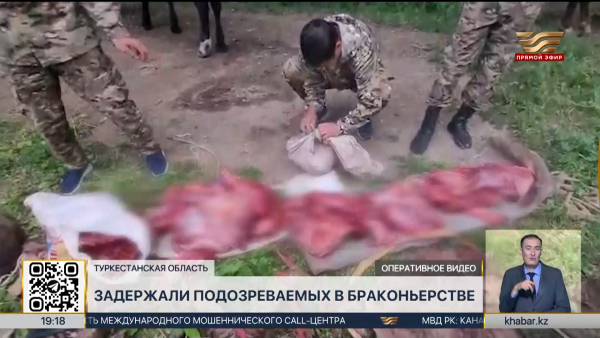 Подозреваемых в браконьерстве задержали в Туркестанской области
