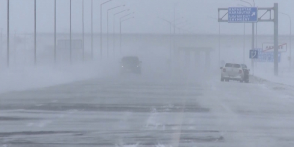 Половина страны находится в снежном плену