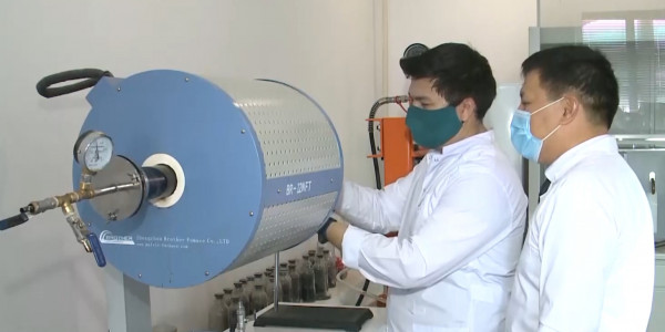 Представлен инновационный способ утилизации растительных отходов