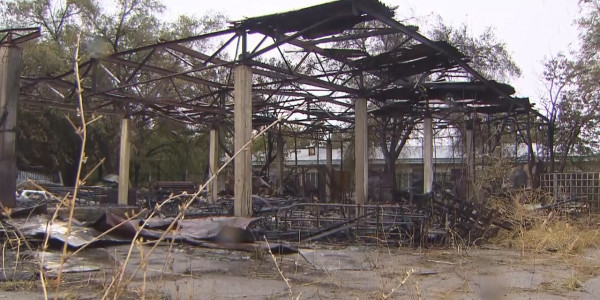 На &laquo;Казахфильме&raquo; подсчитали ущерб от пожара