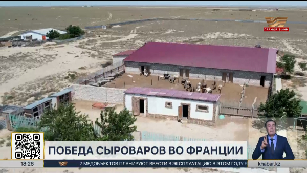 Казахстанские сыровары в числе лучших в мире