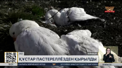 СҚО-да үй құстарының неден қырылғаны белгілі болды