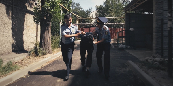 &laquo;Цена жизни&raquo;. &laquo;Спасатели&raquo;