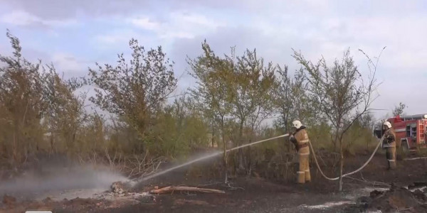 БҚО-да соңғы тәуліктерде дала және орман өрті жиілеп кетті