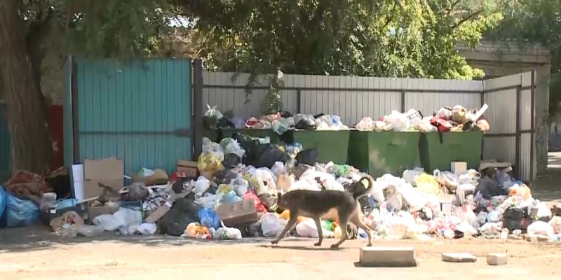 В Актобе проблемы с вывозом с мусора