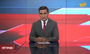 &laquo;Негізінде...&raquo;. Декларация