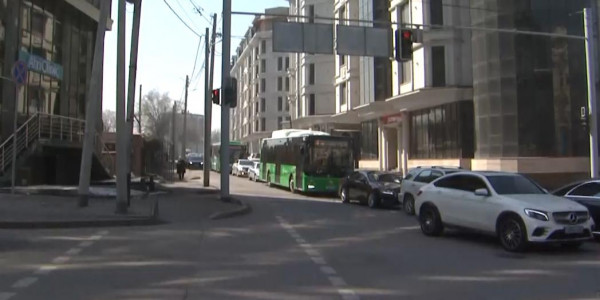 Алматылықтар тауға қарай бой көтеретін нысандардың құрылысына қарсы