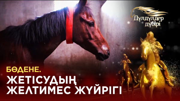 Бөдене. Жетісудың желтимес жүйрігі. &laquo;Дүлдүлдер дүбірі&raquo;