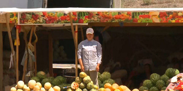 Рост кишечных инфекций зафиксирован в Кызылординской области