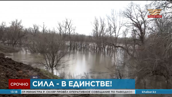 Сила &ndash; в единстве!