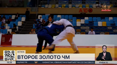 Казахстанский парадзюдоист завоевал золотую медаль чемпионата мира