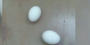 Яйца с гелем обнаружили на прилавках жители ВКО