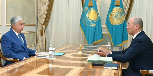 Глава государства принял председателя правления АО &laquo;НУХ &laquo;Байтерек&raquo;