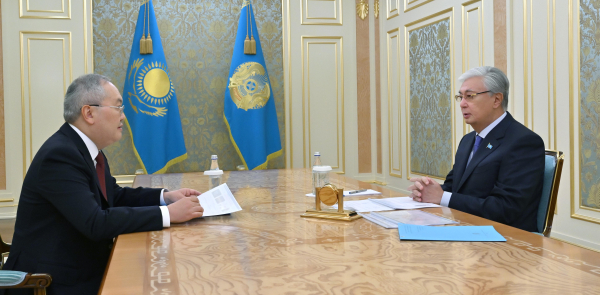 Мемлекет басшысы Қаржылық мониторинг агенттігінің төрағасын қабылдады