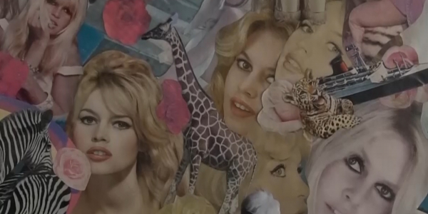 Французская актриса Брижит Бардо получила ответ от Президента РК