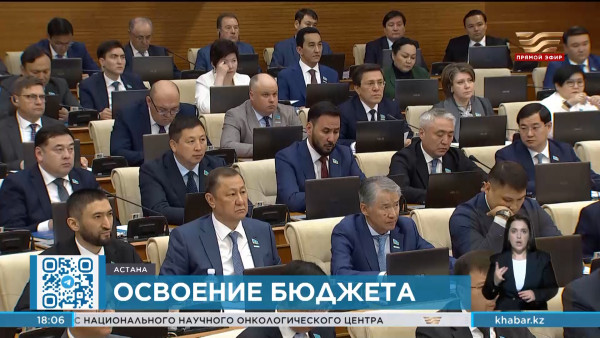 В Мажилисе рассмотрели отчет правительства об исполнении бюджета 2023 года