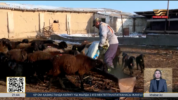 Шопандар мен бақташылар зейнетке ерте шығуы мүмкін