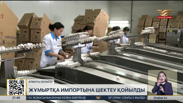 Жұмыртқа импортына шектеу қойылды