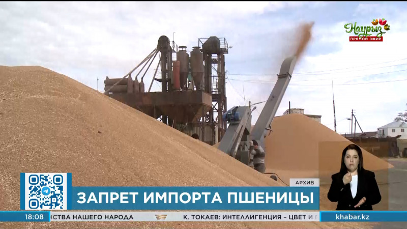 Запрет на импорт пшеницы ввели в Казахстане на полгода