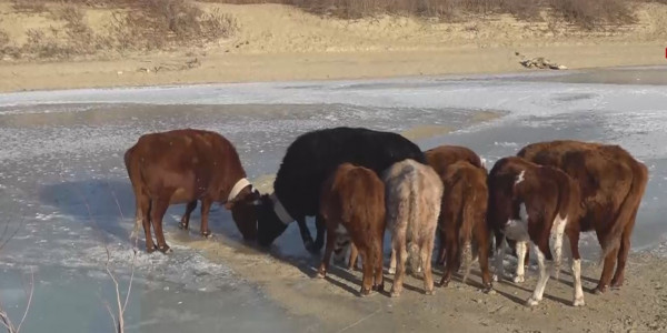 Атырау облысы Жылыой ауданында су тапшы