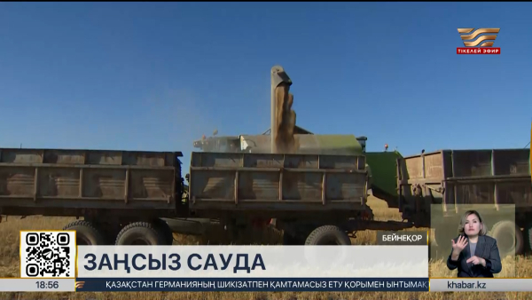 Импортталған астықты «Қазақстанда өндірілген» деп тасымалдаған