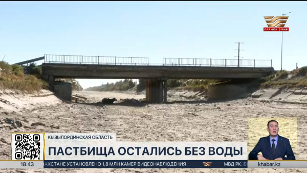 Жители трех сел Шиелийского района остались без водопоя для скота