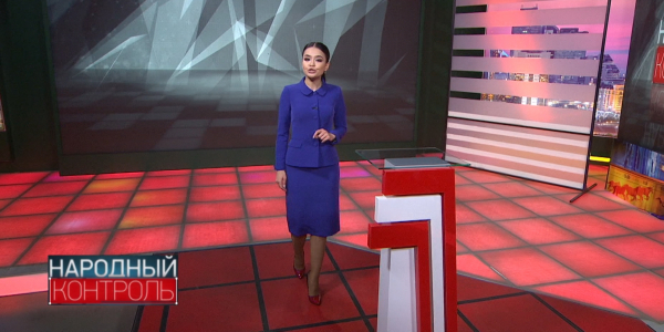 &laquo;Народный контроль&raquo;. Во сколько обходятся автовладельцам дорогостоящие ремонты своих авто? Когда в Астане появится специальная площадка для выгула собак?